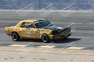 media/Oct-11-2025-Lucky Dog Racing (Sat) [[f5b53147c4]]/2-First Stint/4-Bowl/